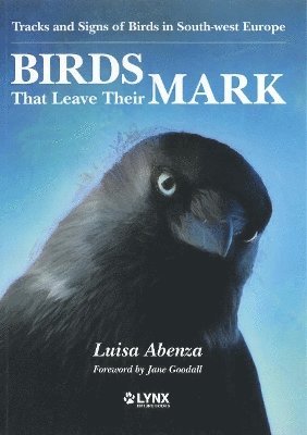 Cover for Luisa Abenza · Birds That Leave Their Mark. Tracks and Signs of Birds in South-west Europe (Paperback Book) (2024)