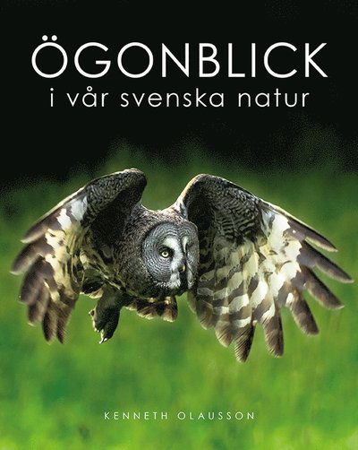 Cover for Olausson Kenneth · Ögonblick i vår svenska natur (Bound Book) (2018)