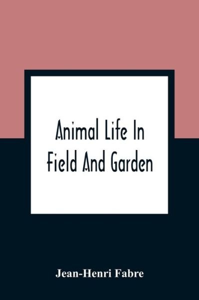 Animal Life In Field And Garden - Jean-Henri Fabre - Livros - Alpha Edition - 9789354360626 - 11 de janeiro de 2021