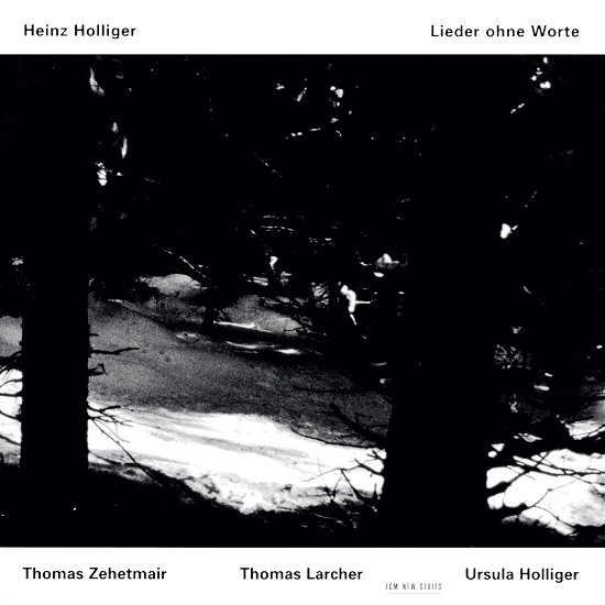 Lieder Ohne Worte - Zehetmaier / Larcher / Holliger - Musiikki - SUN - 0028945706627 - keskiviikko 1. lokakuuta 1997