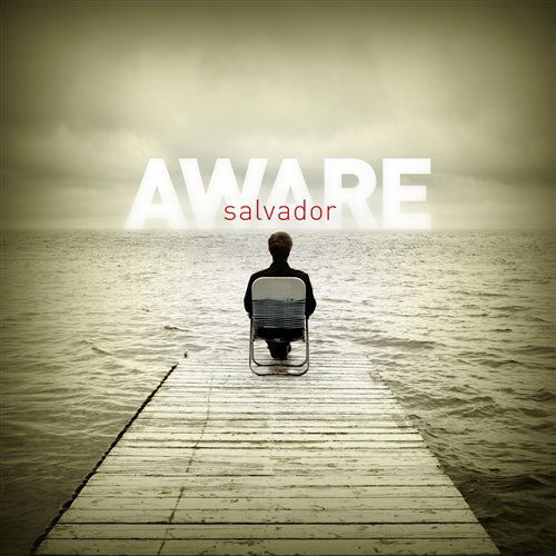 Salvador-aware - Salvador - Musik - ASAPH - 0080688737627 - 29. april 2008