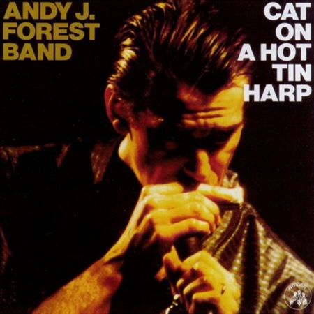 Cover for Andy J. -Band- Forest · Cat On A Hot Tin Harp (CD) (2019)