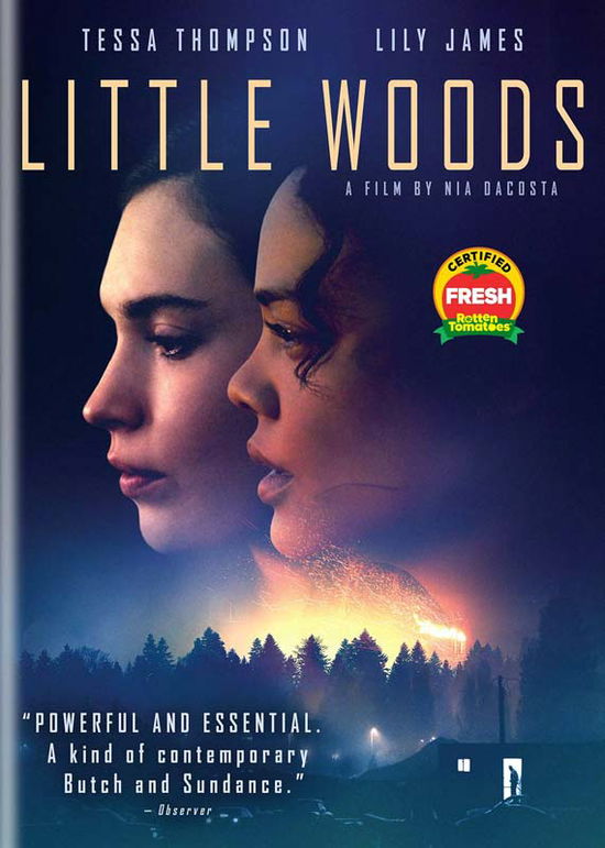 Cover for Little Woods (DVD) (2019)