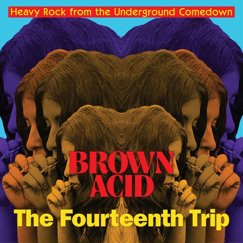 Cover for Various Artists · Brown Acid: The 14th Trip (CD) (2022)