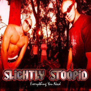 Cover for Slightly Stoopid · Everything You Need (CD) (2003)
