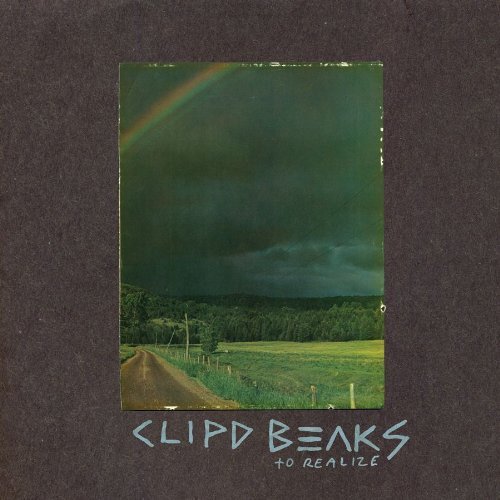 Cover for Clipd Beaks · To Realize (CD) (2010)
