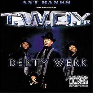 Cover for T.w.d.y. · Derty Werk (CD) (1990)