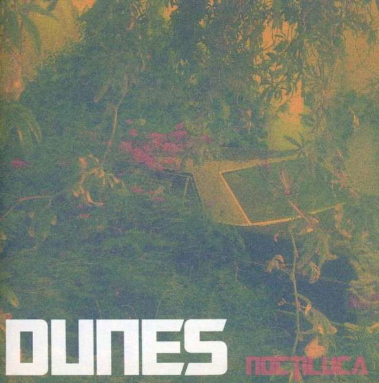Noctulica - Dunes - Musiikki - POST PRESENT MEDIUM - 0724101235627 - torstai 1. maaliskuuta 2012