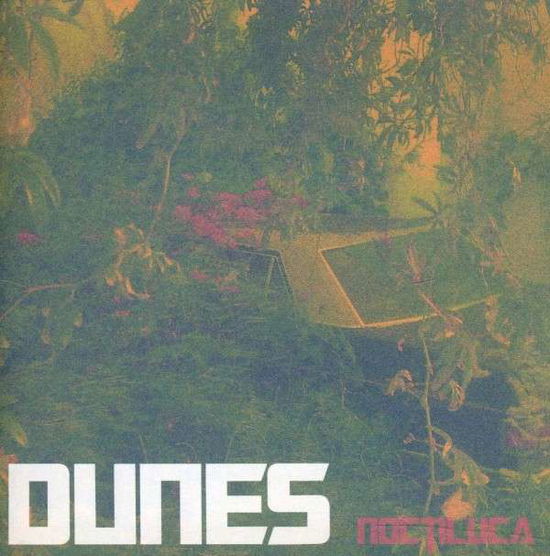 Noctulica - Dunes - Musik - POST PRESENT MEDIUM - 0724101235627 - 1. marts 2012