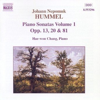 * - Hummel-Hummel: Piano Sonatas Opp - Musik - Naxos - 0730099429627 - 21. september 1998