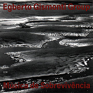 Cover for Egberto Gismonti · Musica De Sobrevivencia (CD) (2000)