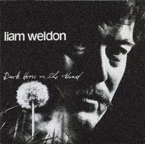 Liam Liam Weldon · Dark Horse on the Wind (CD) (2011)