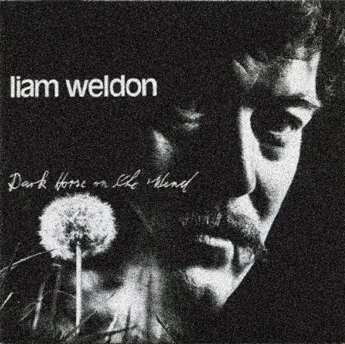 Weldon Liam · Dark Horse on the Wind (CD) (2017)