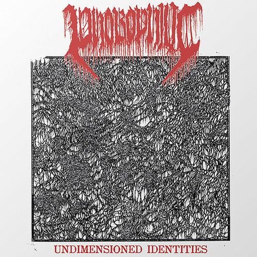 Cover for Phobophilic · Undimensioned Identities (CD) (2020)