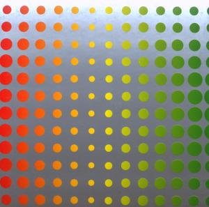 Cover for Merzbow · Rainbow Electronics 2 (CD) (2008)