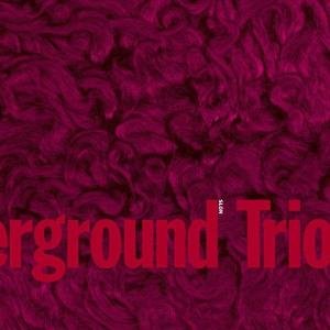 Cover for Chicago Underground Trio · Slon (CD) (2008)