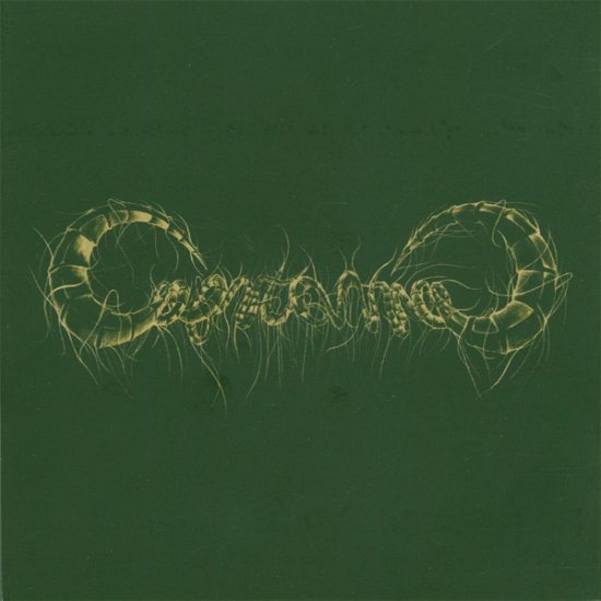 Cover for Capricorns (12&quot;) (2005)