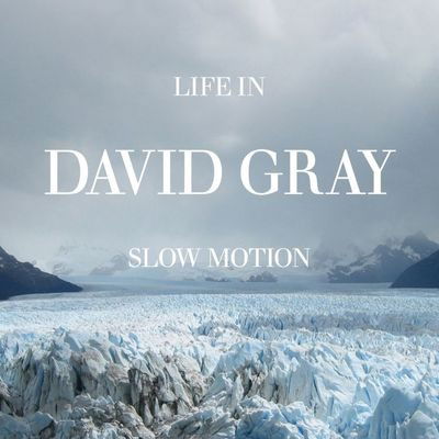 David Gray-life in Slow Motion - David Gray - Music -  - 0880882159627 - 