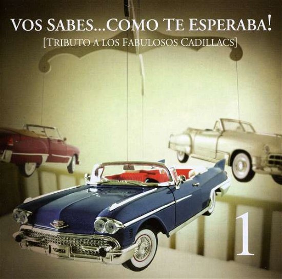 Cover for Vos Sabes Como Te Esperaba / V (CD) (2012)