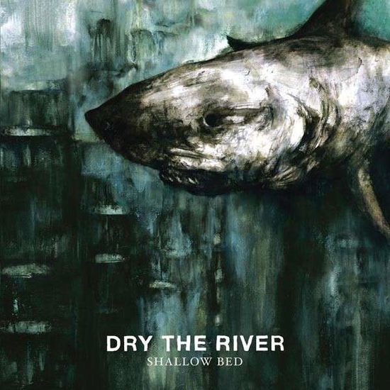 Cover for Dry The River · Shallow Bed (CD) [Limited edition] (1901)