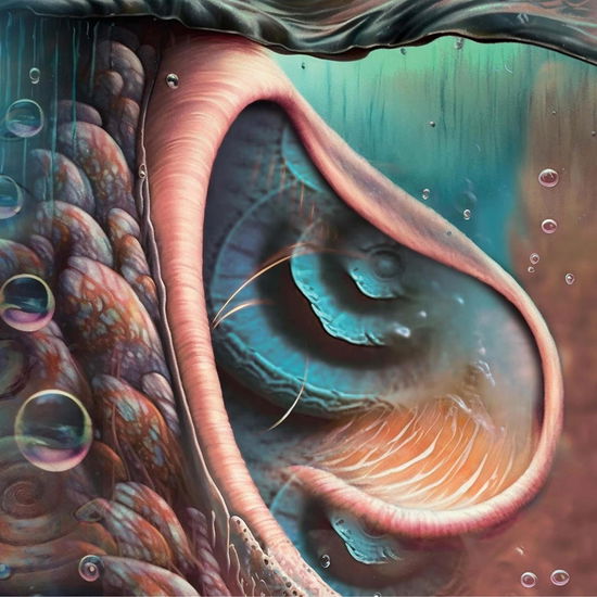 Meddle Reimagined - A Tribute To Pink Floyd - Various Artists - Musikk - CLEOPATRA - 0889466433627 - 1. september 2023