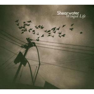 Cover for Shearwater · Shearwater-winged Life (CD)