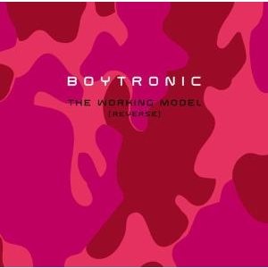 Cover for Boytronic · Working Model (Reverse) (CD) (2007)
