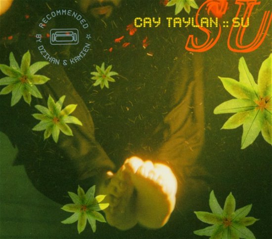 Su - Taylan Cay - Musik - COUCH RECORDS - 4037483202627 - 13. maj 2004