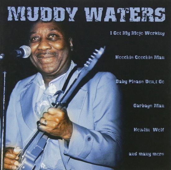 Muddy Waters - Muddy Waters - Musikk - FIRTS BUDGET - 5055039204627 - 1. mars 2004