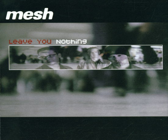 Leave You Nothing - Mesh - Music - Hom (Sony Bmg) - 5099767233627 - 