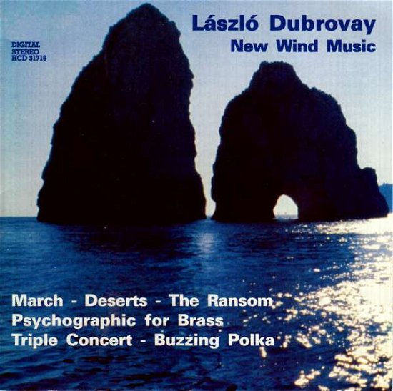 Cover for Laszlo Dubrovay · New Wind Music (CD) (1997)