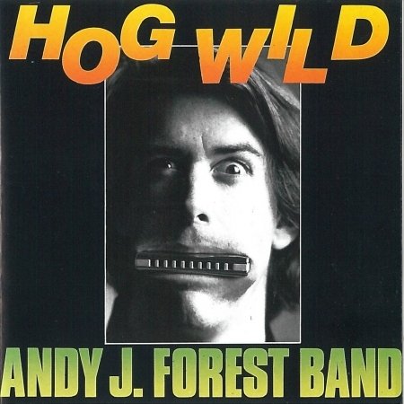 Cover for Andy J. &amp; The Snapshots Forest · Andy J. &amp; The Snapshots Forest - Hog Wild (CD) (2019)