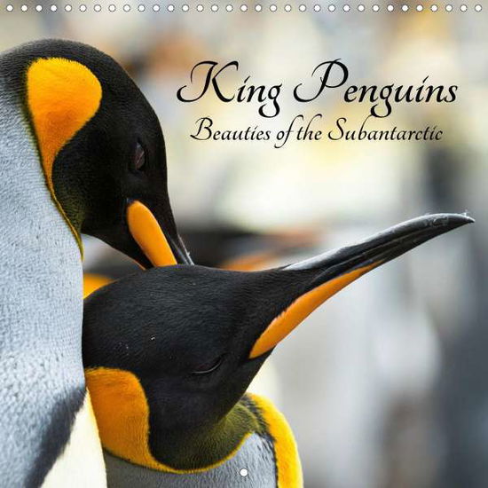 Cover for Zwick · King Penguins - Beauties of the S (Bok)