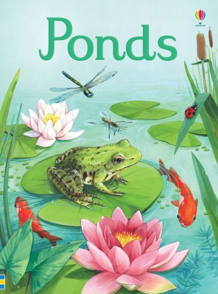 Cover for Emily Bone · Ponds - Beginners (Innbunden bok) (2019)