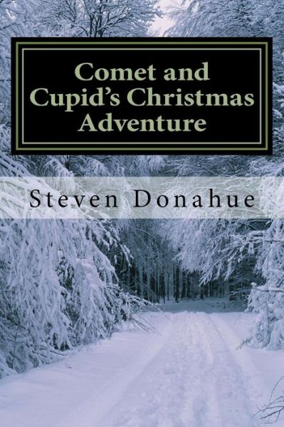 Cover for Steven Donahue · Comet and Cupid's Christmas Adventure (Paperback Book) (2013)