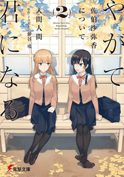 Cover for Nakatani Nio · Bloom Into You (Light Novel): Regarding Saeki Sayaka Vol. 2 - Bloom Into You (Light Novel): Regarding Saeki Sayaka (Paperback Book) (2020)