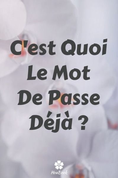 Cover for Mot de Passe Houbook · C'est Quoi Le Mot De Passe Deja ? (Paperback Bog) (2020)