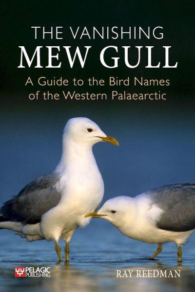 Cover for Ray Reedman · The Vanishing Mew Gull: A Guide to the Bird Names of the Western Palaearctic (Hardcover Book) (2024)