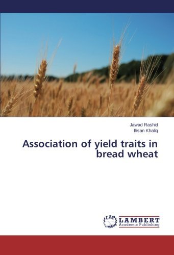 Cover for Ihsan Khaliq · Association of Yield Traits in Bread Wheat (Paperback Book) (2013)