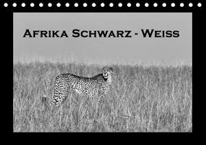 Cover for Stern · Afrika Schwarz - Weiss (Tischkale (Book)