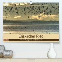 Cover for Brinker · Eriskircher Ried - Naturschutzg (Book)