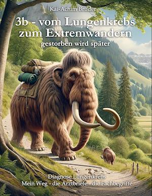Cover for Kai-Achim Bruder · 3b - vom Lungenkrebs zum Extremwandern (Book) (2024)