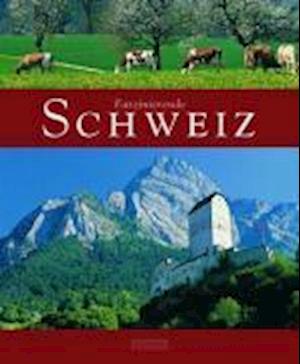 Faszinierende Schweiz - Jost Wolf - Books - Flechsig Verlag - 9783881896627 - February 1, 2007