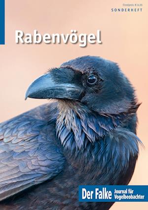 Cover for Redaktion Der Falke · Rabenvögel (Book) (2024)