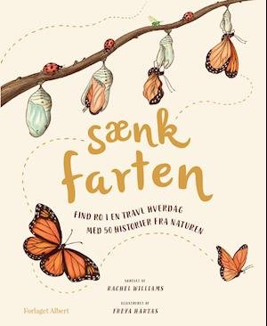 Cover for Rachel Williams · Sænk farten (Bound Book) [1st edition] (2021)