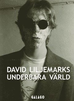 Cover for David Liljemark · David Liljemarks underbara värld : verk i urval 1978-2020 (Book) (2020)