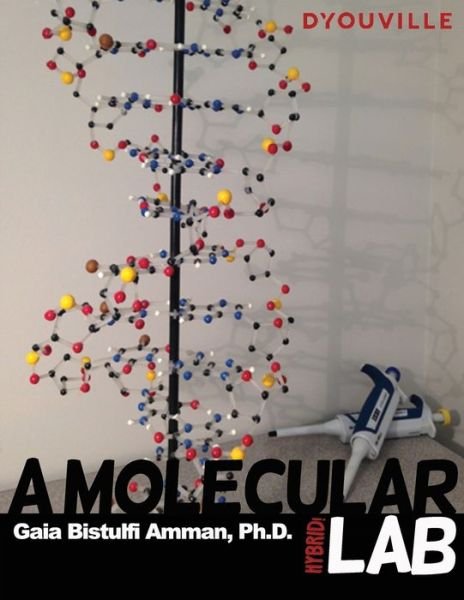 Cover for Gaia B Amman · A Molecular Lab (Paperback Book) (2013)