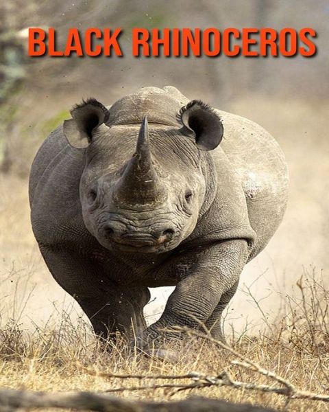 Cover for William Doyle · Black Rhinoceros (Paperback Book) (2020)