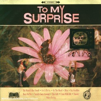 To My Surprise - To My Surprise - Musiikki - Roadrunner - 0016861839628 - tiistai 7. lokakuuta 2003