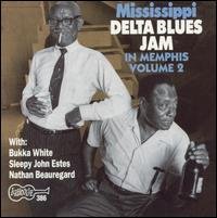 Cover for Mississippi Delta Blues Jam V2 · Mississippi Delta Blues Jam In Memphis Vol.2 (CD) (2019)